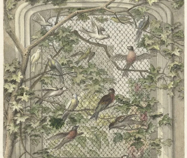 Volière met veertien vogels